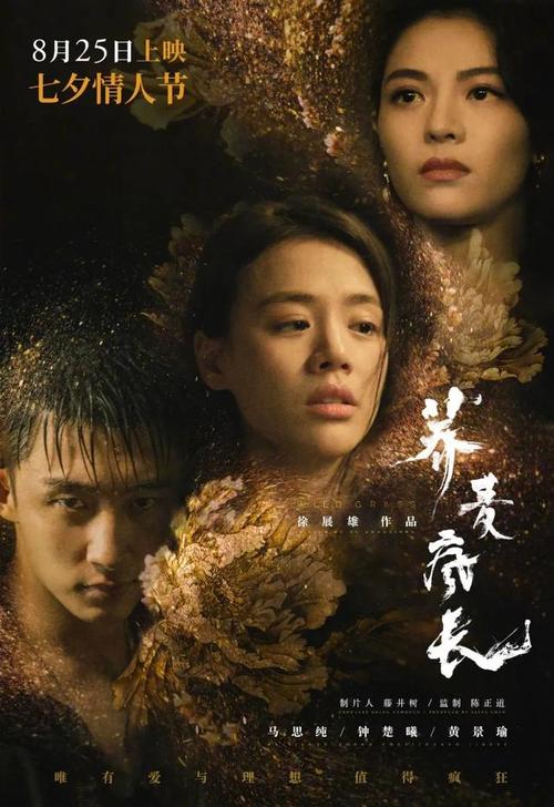 制作怀卡托大学文凭